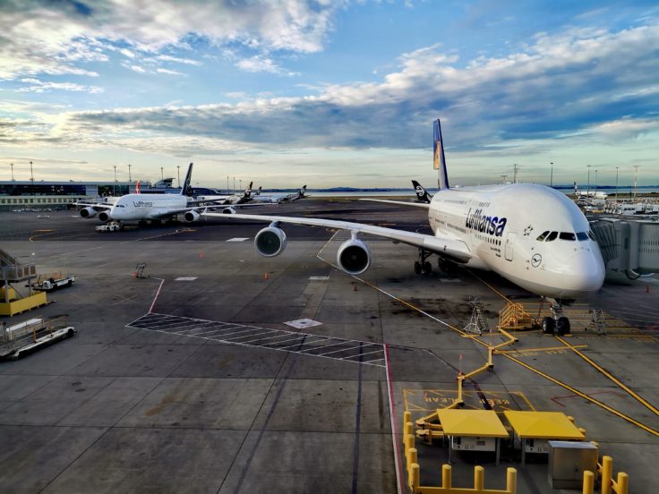 Lufthansa Airbus in Auckland (AKL)